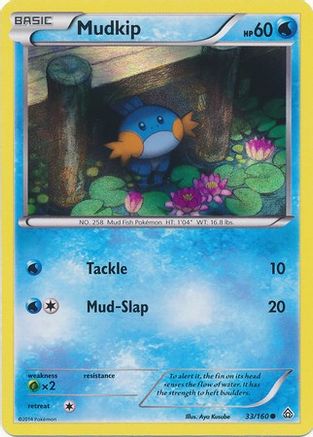 Mudkip 033/160 - Holofoil Miscellaneous Cards & Products - Promo