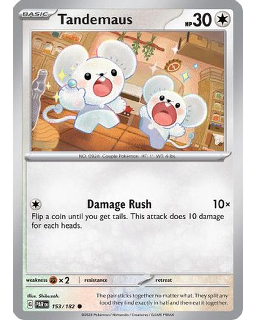 Tandemaus 153/182 SV04 Paradox Rift - Common