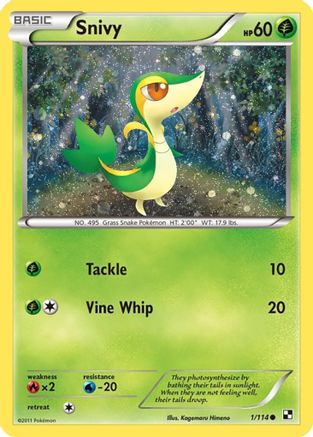 Snivy 001/114  - Holofoil Miscellaneous Cards & Products - Promo