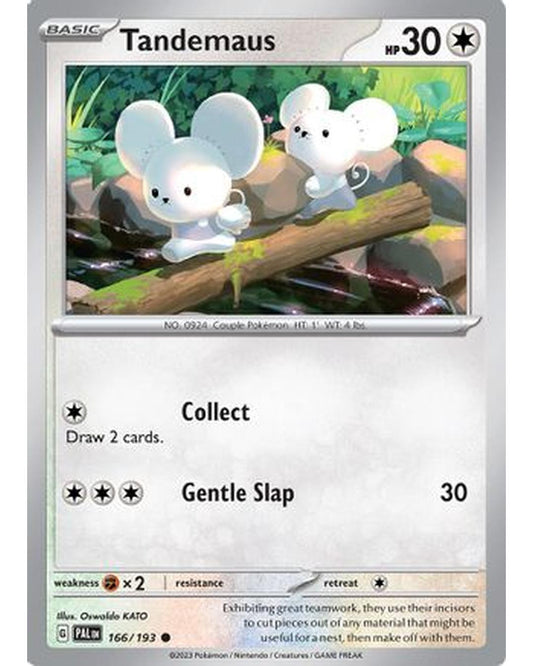 Tandemaus 166/193  - Reverse Holofoil SV02 Paldea Evolved - Common