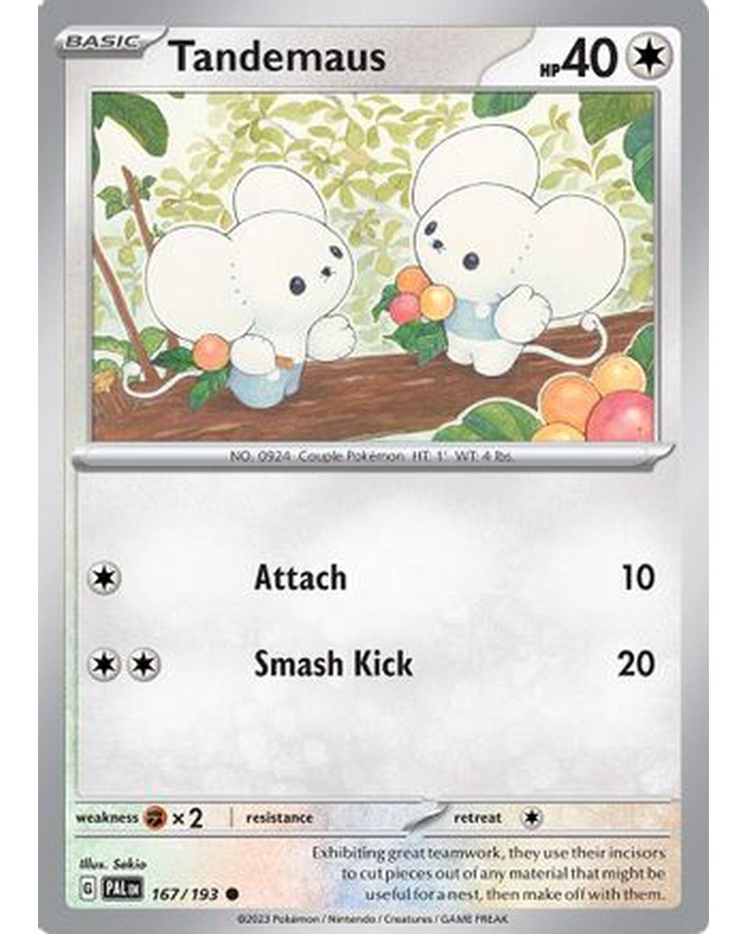 Tandemaus 167/193  SV02 Paldea Evolved - Common