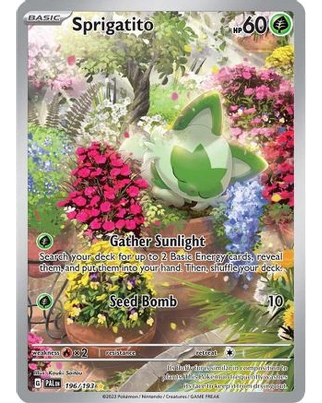 Sprigatito 196/193  - Holofoil SV02 Paldea Evolved - Illustration Rare