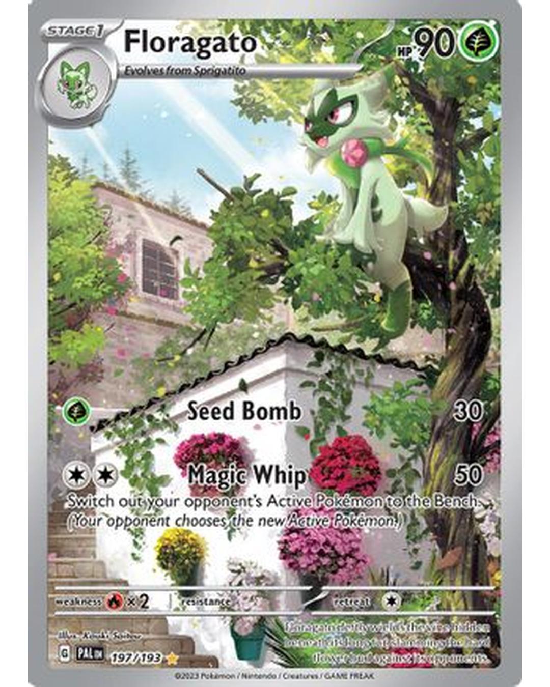 Floragato 197/193  - Holofoil SV02 Paldea Evolved - Illustration Rare