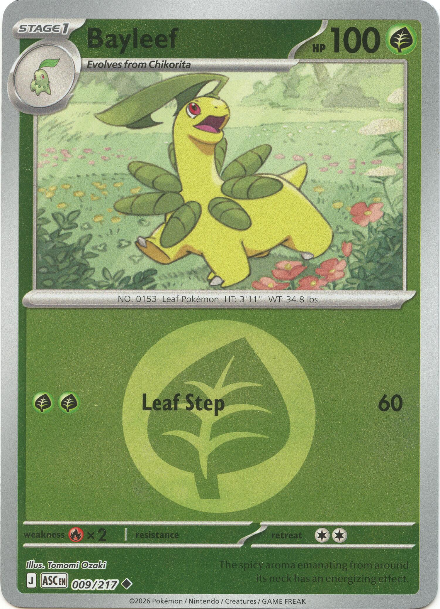 Bayleef (Energy Symbol Pattern)
